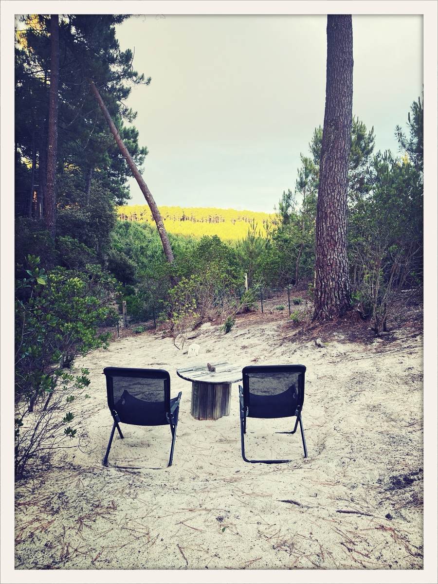 Deux fauteuils dans les pins